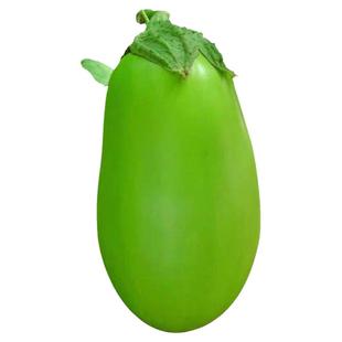 绿冠青茄子苗灯泡绿茄苗嫁接青圆茄幼苗高产四季种蔬菜秧长茄苗孑