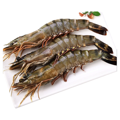 超大黑虎虾开海新捕顺丰包邮