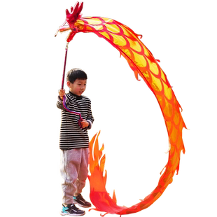 新款舞龙彩带健身广场舞手甩龙身成人中老年人耍龙头道具表演8米