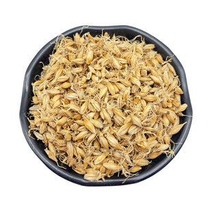 买二送一 生麦芽 500克 中药材大麦芽 麦芽 另售 谷芽 稻芽