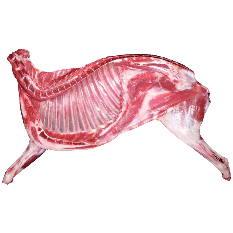 【10斤！新鲜现杀羊肉】顺丰包邮