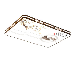 高级感客厅大灯吊灯大厅主卧室吸顶灯具现代简约大气2026新款中山