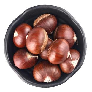 2025年新鲜板栗迁西栗子野生油栗新鲜生板栗河北批发粟子产地直发