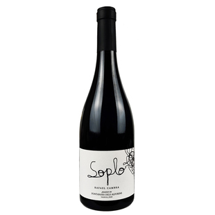 西班牙索普罗老藤老树歌海娜干红葡萄酒 Soplo 瓦伦西亚红酒 2019