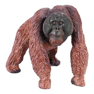 正版仿真红毛猩猩动物模型手办实心婆罗洲狒狒早教认知儿童礼物