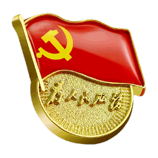 优和标准党徽胸章别针磁扣蝴蝶扣为人民服务党员徽章5种佩戴