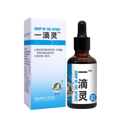 豪翔一滴灵赛鸽鹦鹉信鸽眼睛流泪