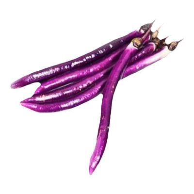 蔬菜种子四季播种 线茄子长茄子杭茄一号茄子阳台庭院春播芽率高