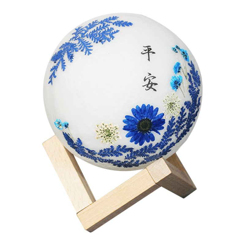 重阳节手工diy压花台灯干花花草灯幼儿园小学制作活动礼物送老人