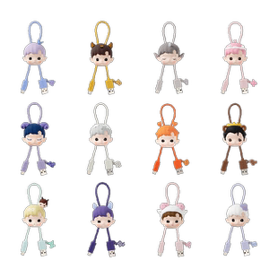 POPMART泡泡玛特HACIPUPU 星座系列盲盒数据线iPhone TYPE-C周边