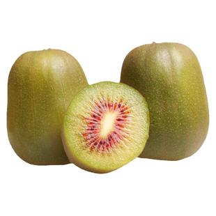 【猕猴桃树苗】红心黄心绿肉红阳翠香软枣徐香奇异莓爬藤猕猴桃苗