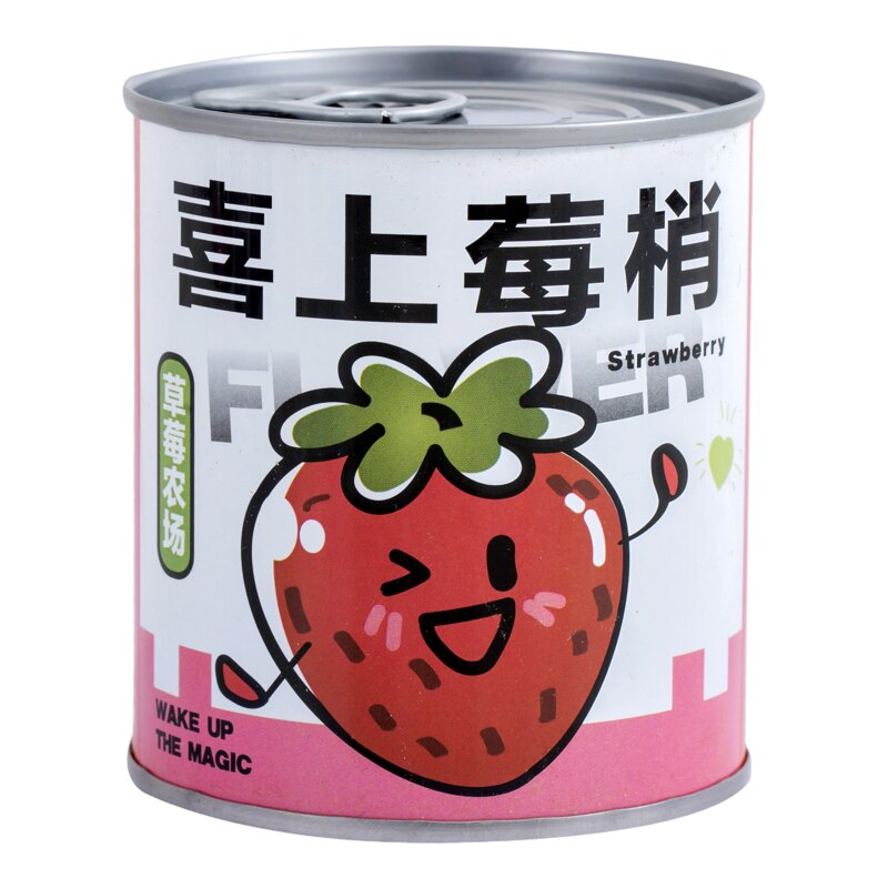 儿童节易拉罐种植礼盒奖品批发