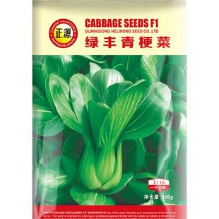 和利农正源绿丰青梗菜种子秋季高产四季矮脚小油菜籽种小青菜种籽