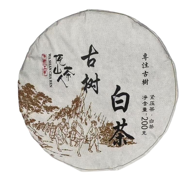 古树白茶云南澜沧春茶200克饼茶