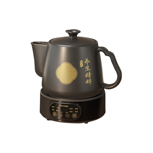 天际保健电煎药壶全自动中药壶3L4L家用电药煲熬药砂锅中医养生壶