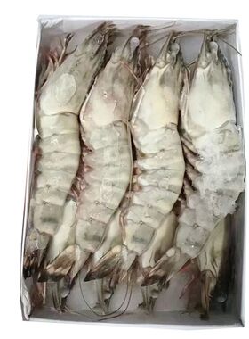 黑虎虾超大老虎虾包邮顺丰冷链