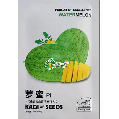 特色黄肉西瓜种籽种子早熟椭圆形
