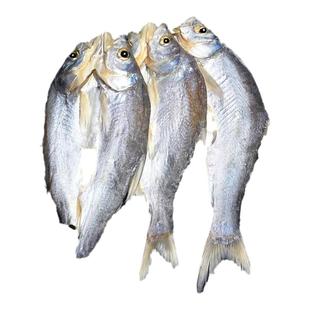 500g万佛湖黄稍鱼干舒城特产咸鱼干整条新鲜农家自制干货去内脏