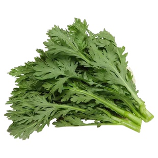 割茬中叶茼蒿种子茼蒿孑大叶蒿菜籽四季种春菊盆栽蔬菜籽小叶皇帝