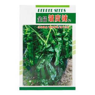 香辣皱皮辣椒种子薄皮辣椒麻辣椒种籽中辣四季种植盆栽籽种孑