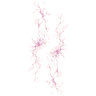 MG tattoo 隐流之诗 血管脉络极简线条手臂腿部神秘感个性纹身贴