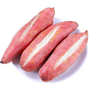 哈密冰糖蜜薯白心番薯新鲜红薯当季板栗烤地瓜农家自种整箱包邮