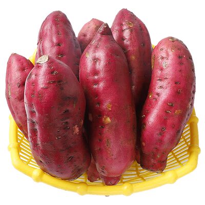 现挖现发！正宗澄迈桥头地瓜！