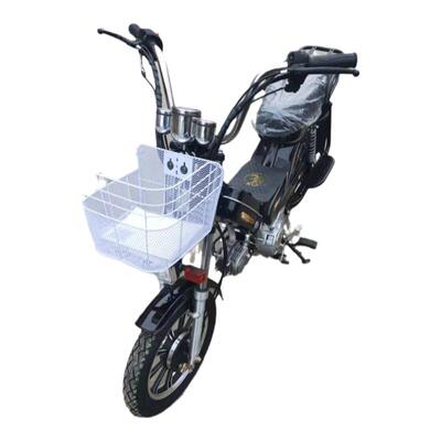 燃油助力车4870cc迷你建设发动机