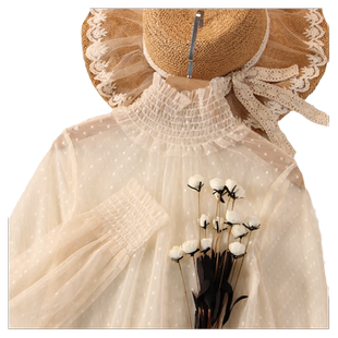 透视灯笼袖波点网纱上衣女洋气内搭高领蕾丝打底衫女欧货内衬纱衣