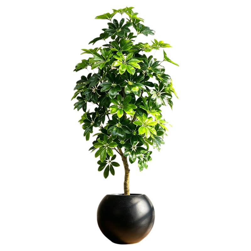 鸭脚木仿真绿植假植物客厅轻奢仿仿真植物盆景
