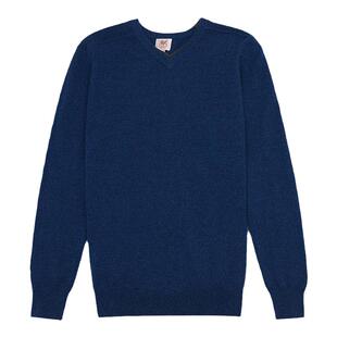 鹿王羊绒衫男100纯羊绒新款男士山羊绒V领百搭休闲宽松套头衫