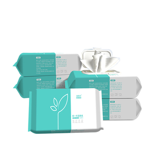 氏氏美湿厕纸家庭装100片*3包擦屁屁湿巾厕纸湿厕巾私处湿纸巾