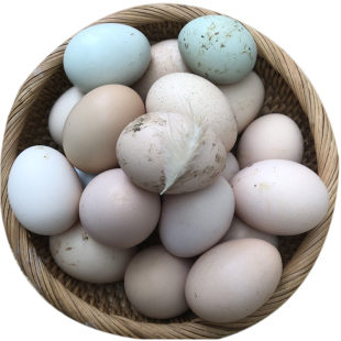 神农架农家土鸡蛋散养新鲜土鸡蛋粮食喂养湖北农村野外山林土鸡蛋