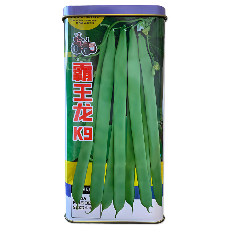 拖车头种业霸王龙K9豆角种子