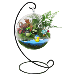 12cm苔藓新鲜植物迷你小盆栽 幼儿园桌面微景观生态玻璃瓶diy材料