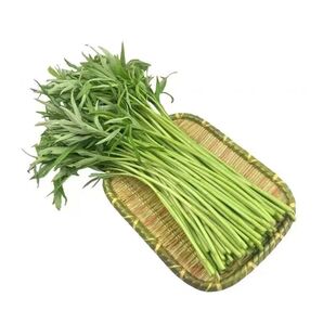 当季芦蒿新鲜篱蒿3斤时令净菜黎蒿新鲜蔬菜野菜藜蒿鲜嫩泥蒿茼蒿