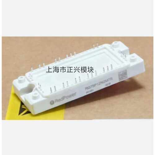 RG100P12N2M7R RG75P12N2M7R RG5