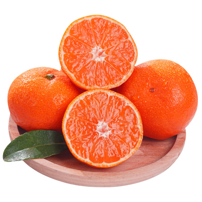 【当天发货】涌泉蜜桔10斤