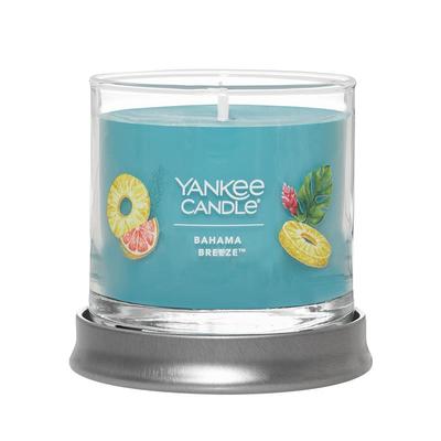 Yankee扬基彩绘小圆瓶香薰蜡烛