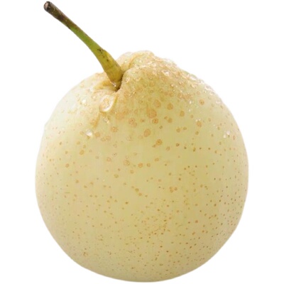 河北鸭梨新鲜水果赵县雪梨包邮