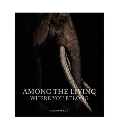 【预售】在生者之中：你属于哪里 Among the Living: Where You Belong 原版英文摄影 正版进口图书