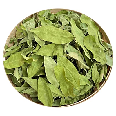 干净桃树的叶子湿花椒桃树叶泡脚