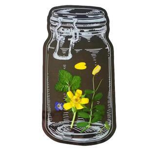 干花书签植物标本塑封膜树叶昆虫透明自粘密封袋学生标本diy材料