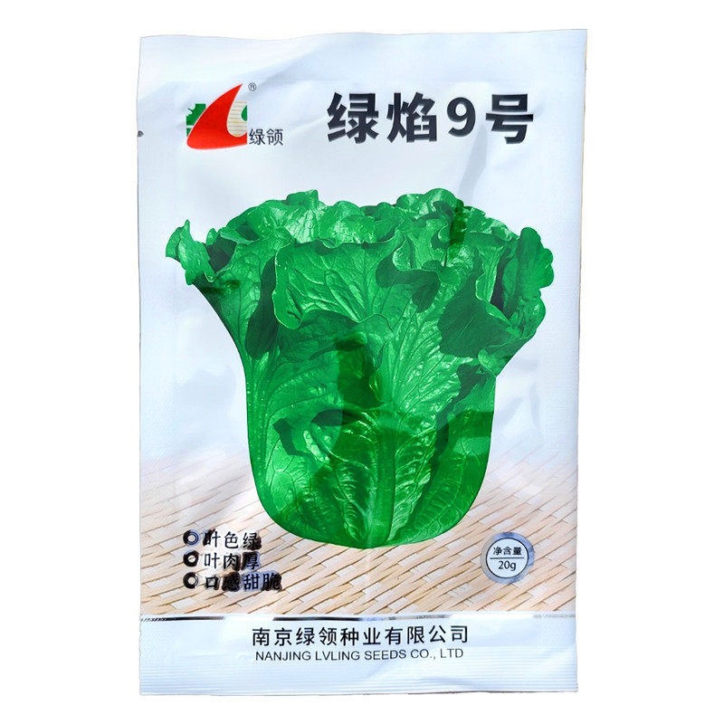 绿领绿焰9号生菜种子耐寒耐热20g