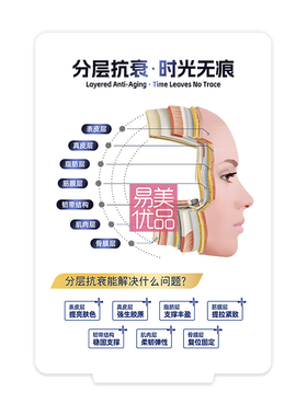 分层抗衰雪弗板摆件肌肤结构中胚层pvc美容面部衰老对比双面
