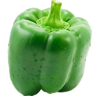 辣椒种子大全辣椒籽小米辣朝天椒美人椒尖椒七彩椒青椒二荆条种籽