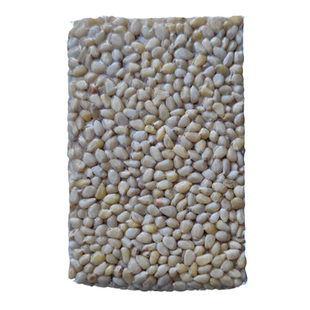 东北大兴安岭偃松仁马尾松仁新货野生偃松之乡原产地厂家直发500g