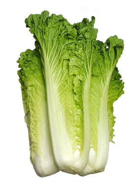 云南高山麻叶菜青菜现摘现发