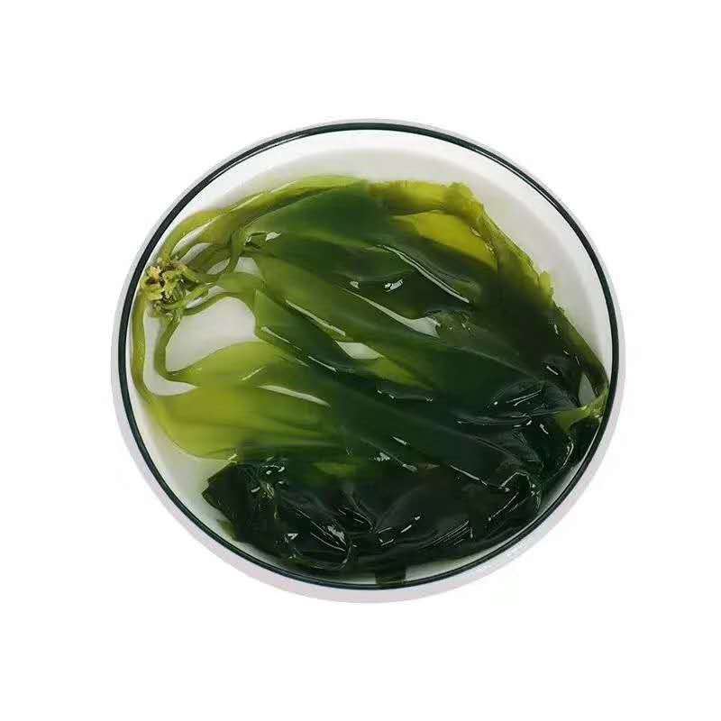 特级海带嫩苗3斤盐渍裙带菜火锅
