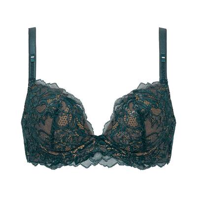 蕾丝文胸罩bradelisnewyork